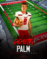 Demetri Palm