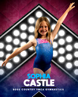 Sophia Castle 8x10