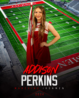 Addison Perkins