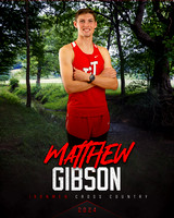 Matthew Gibson