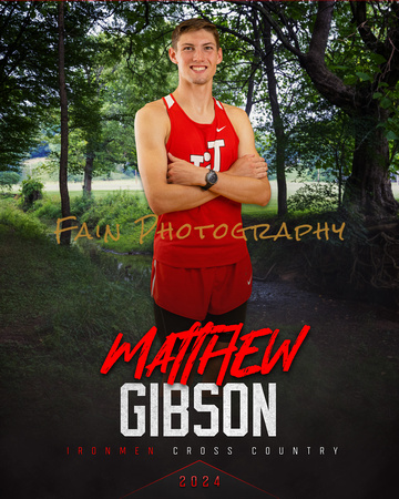 Matthew Gibson