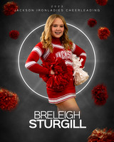 Breleigh Sturgill