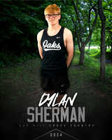 Dylan Sherman