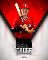 Colt Cross