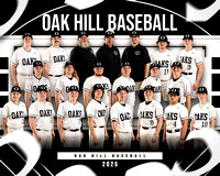 HS Baseball Team