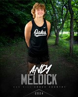 Andy Meldick