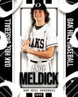 Andy Meldick