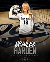 Brinlee Harden