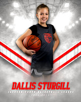 Dallis Sturgill